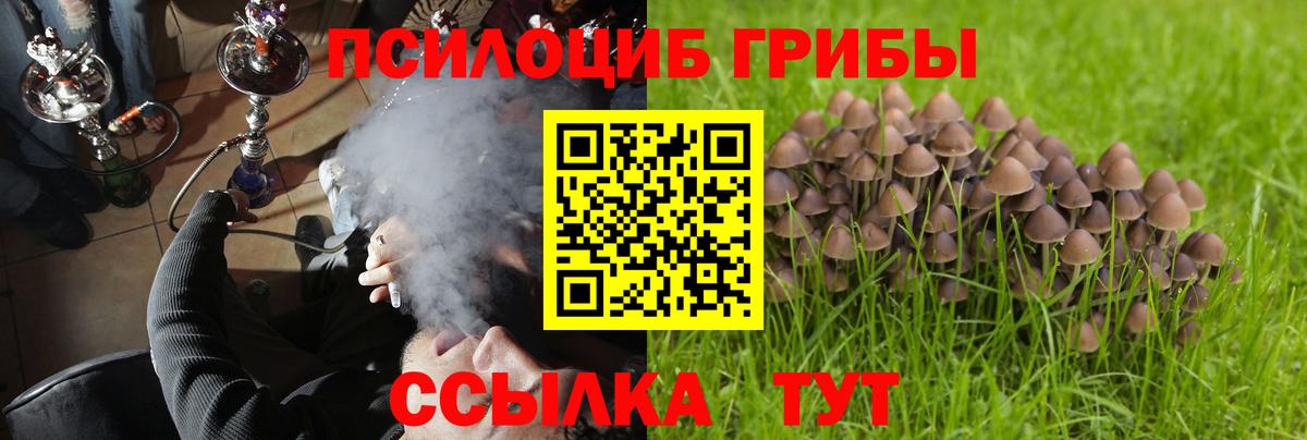 Галлюциногенные грибы прущие грибы  Вход с VPN  Псилоцибиновые грибы GOLDEN TEACHER  Советск 