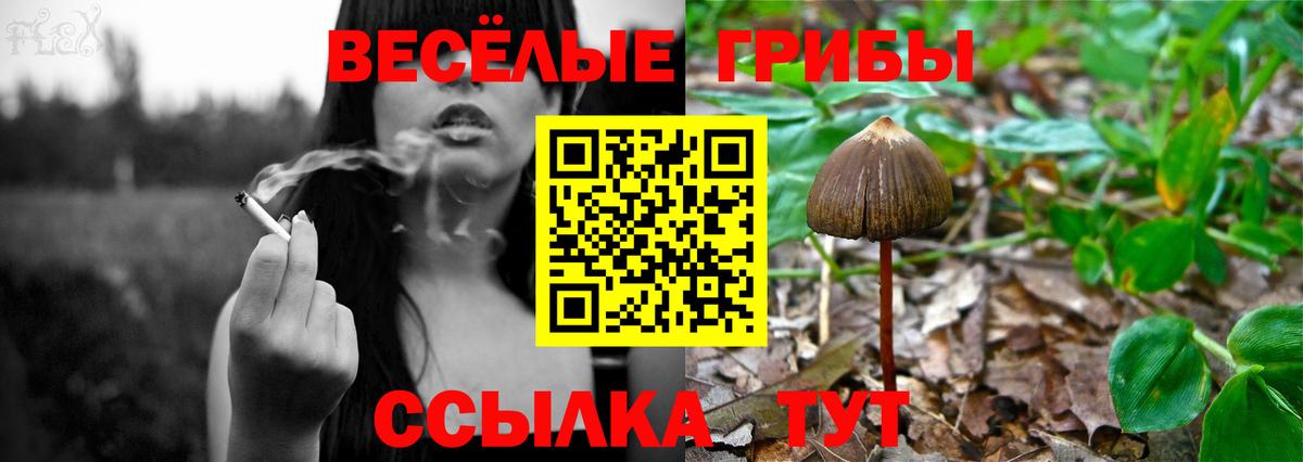 Псилоцибиновые грибы мухоморы Советск